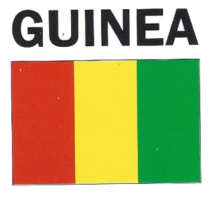 Guinea4