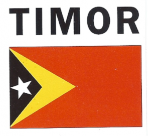 Timor8
